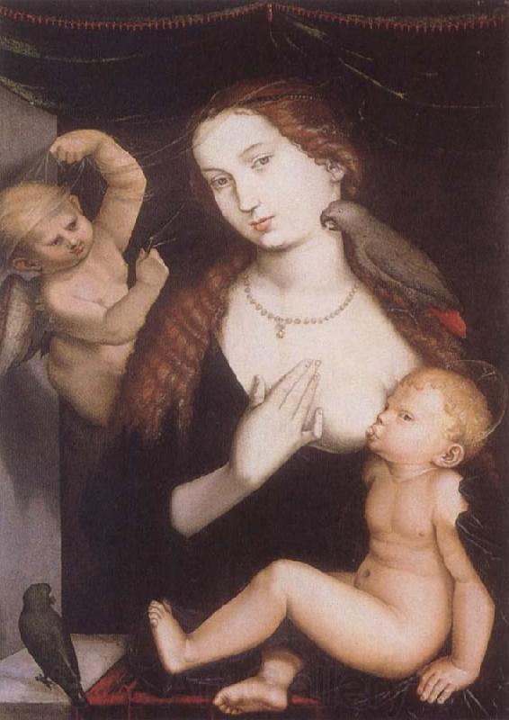Hans Baldung Grien Virgin and Child with Parrots France oil painting art
